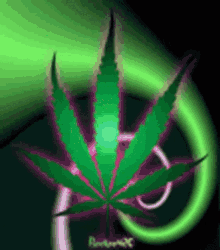 Have A Smoking Day Weed GIF - Have A Smoking Day Weed Smoking GIFs