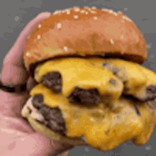Cheese Burger Fast Food GIF - Cheese Burger Fast Food Burgers GIFs