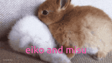 a brown and white rabbit laying next to each other with the words eiko and misu below them