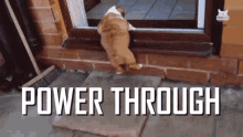 Power Through You Can Do It GIF - Power Through You Can Do It Just Keep Going GIFs