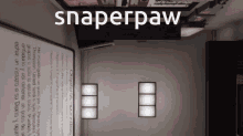 snapperpaw snap snaperpaw phasmophobia phas