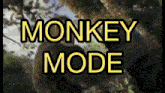 monkey mode is displayed on a screen with a picture of a monkey in the background
