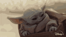 Baby Yoda Ears Flopping GIF - Baby Yoda Ears Flopping GIFs