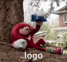 knuckles the echidna is laying under a tree holding a bag of doritos .