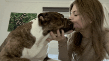 a woman kisses a brown and white dog on the cheek