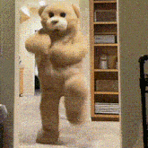 小熊跳舞 GIF - 小熊跳舞 GIFs
