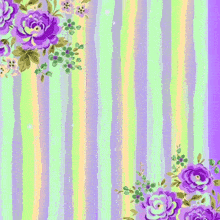 a purple and green striped background with purple flowers and the words " i 'm sorry "