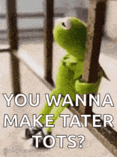 kermit the frog is leaning against a railing and says `` you wanna make tater tots? ''