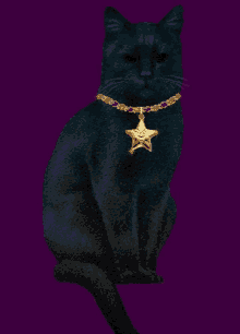 Witch Cats GIF - Witch Cats Black GIFs