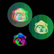 three colorful circles with a dog in a hood