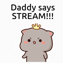 a cat with a crown on its head says daddy says stream !!!