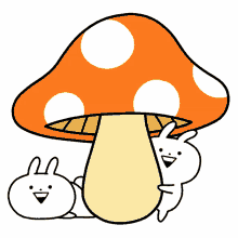 fun mushroom