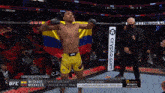 a fighter in a ufc ring holds a flag