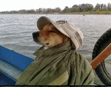 a dog wearing a hat and jacket sits on a boat