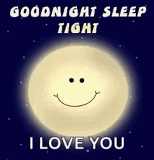 goodnight sleep tight i love you wink