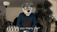 Will You Marry Me Will GIF