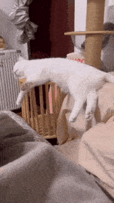 Sleeping Cat Nap Time GIF - Sleeping Cat Nap Time White Cat GIFs
