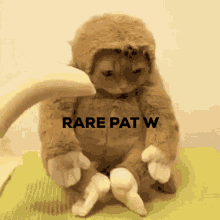 Rare Pat W Rare W GIF - Rare Pat W Rare W Rare Pat GIFs