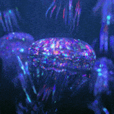 Jellyfish GIF - Jellyfish GIFs