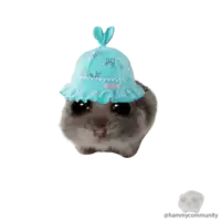 a hamster wearing a blue hat with scissors on it 's hat