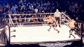two wrestlers are in a wrestling ring with a referee in the middle