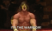 Ultimate Warrior GIF - Ultimate Warrior GIFs