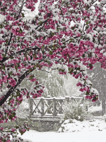 Tree Snowing GIF