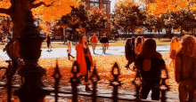 Hocus Pocus Fall GIF - Fall Fall Season Autumn GIFs