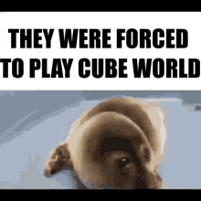 Cube World Forced GIF