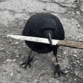 Gm Crow With Knife Caw GIF - Gm Crow With Knife Crow With Knife Caw GIFs