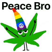 hippie and