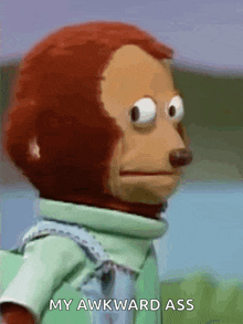 a stuffed monkey says my awkward ass in front of a body of water .