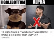 Figglebottom Male GIF - Figglebottom Male Figglebottom Male GIFs