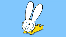 rabbit superlapin