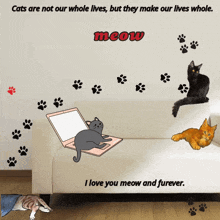 Cat Meme Cat Love You GIF - Cat Meme Cat Love You Cat Lover GIFs