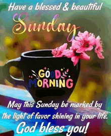 a blessed and beautiful sunday may this sunday be marked by the light of favor shining in your life . god bless you !