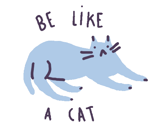 Cat Saramaese Sticker