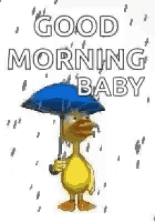 Good Morning Baby Duck GIF