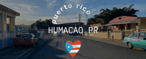 hahahahahahahaha I am hiding! - Picture of Humacao, Puerto Rico