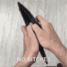 Nobitches No Bitches By Serenity GIF - Nobitches No Bitches By Serenity GIFs