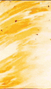 a colorful painting of a woman with the words vivavideo at the top