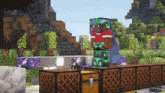 a person in a cape is standing on a wooden bridge in minecraft