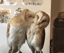 GIF