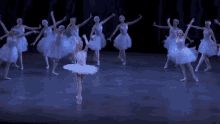 Ballerina Ballet GIF - Ballerina Ballet Dancers GIFs