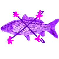 a purple fish with pink arrows crossing its body