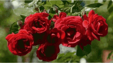 Happy Mothers Day Greetings GIF - Happy Mothers Day Greetings Happy GIFs