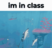 Abzu In Class GIF - Abzu In Class Im In Class GIFs
