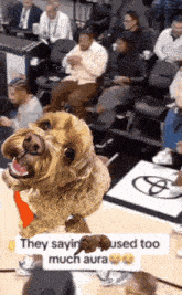 a dog is standing on a basketball court with a caption that says they saying used too much aura