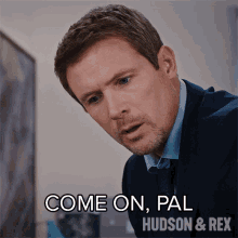 Come On Pal Charlie Hudson GIF - Come On Pal Charlie Hudson Hudson And Rex GIFs