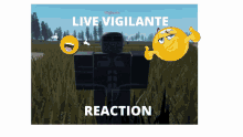 Reaction Vigilante GIF